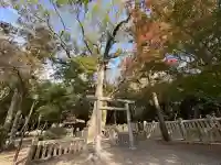 伊弉諾神宮(兵庫県)