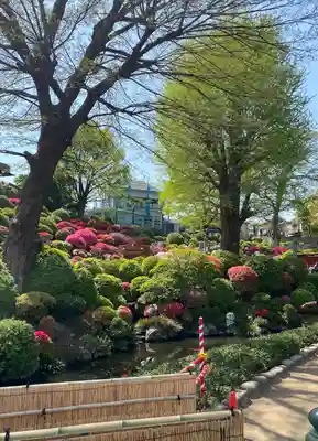 根津神社(東京都)