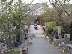 浄心寺(東京都)