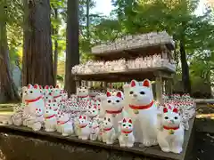 豪徳寺の狛犬