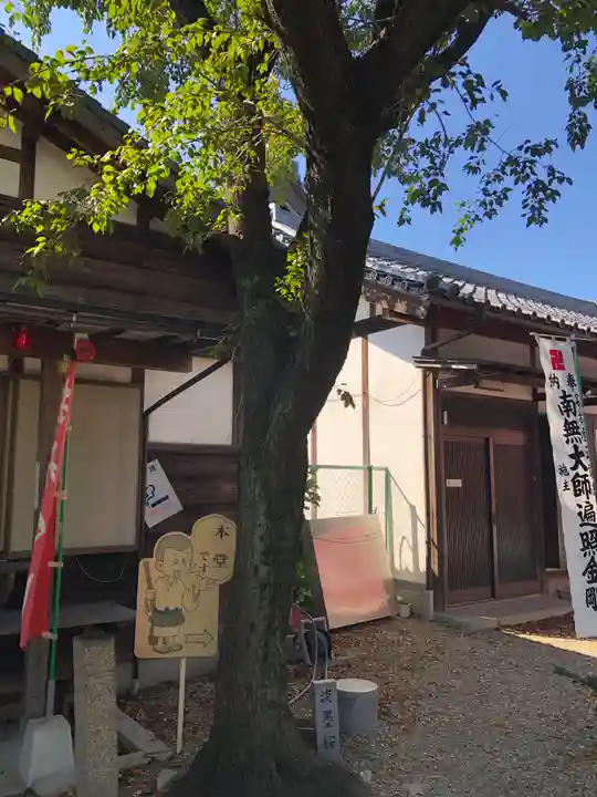 寳珠院(常楽寺)の自然