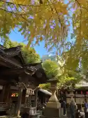 田無神社の本殿