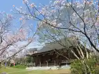 国分寺(新潟県)