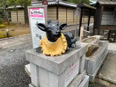 高台寺天満宮の狛犬