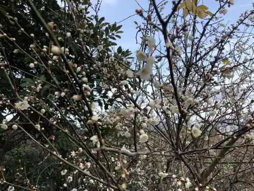 鷲尾愛宕神社の自然