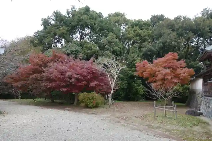 多坐弥志理都比古神社の自然