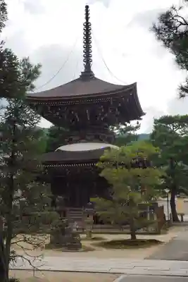 智恩寺(京都府)