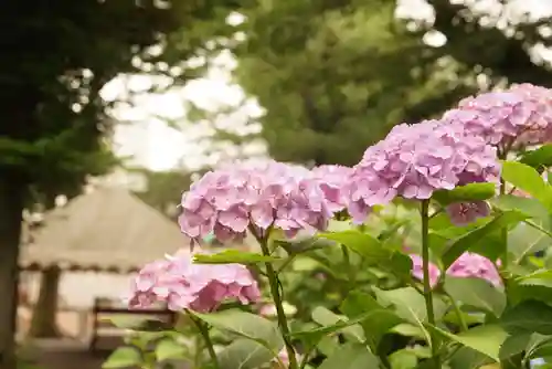 白山神社の自然