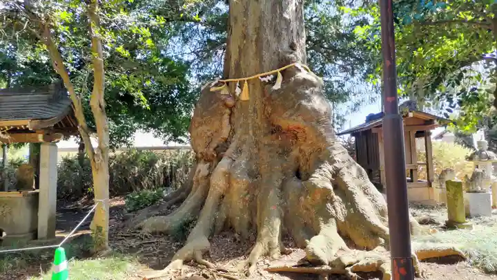 沓掛香取神社(茨城県)