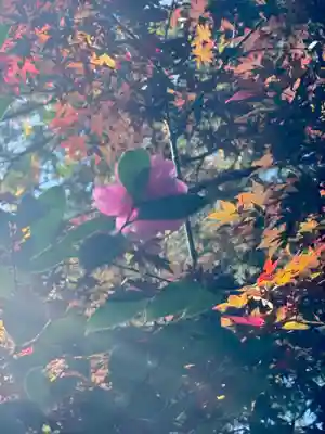 猿丸神社(京都府)