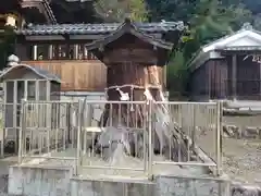 八王子神社の自然