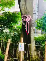 伊和志津神社の自然