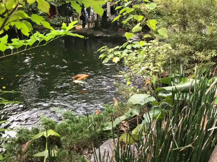 愛宕神社の動物