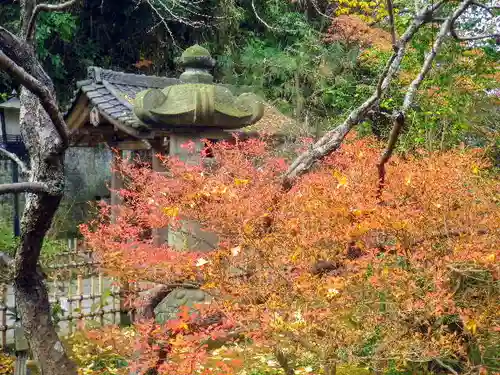 安國論寺（安国論寺）の自然