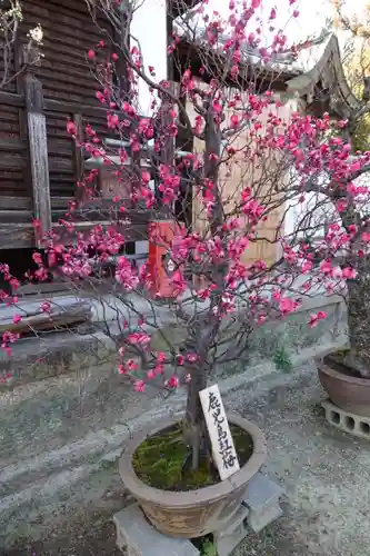 菅原天満宮（菅原神社）のその他建物