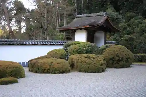 正伝護国禅寺(正伝寺･正傳寺)の庭園