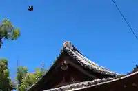 三津厳島神社の本殿・本堂