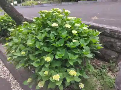 龍長院(神奈川県)