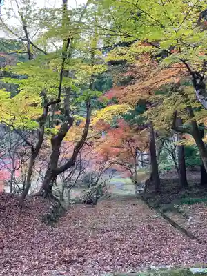 大洞院(静岡県)
