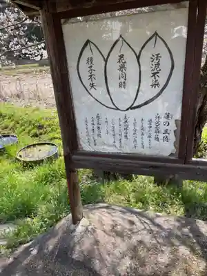 楞厳寺(京都府)