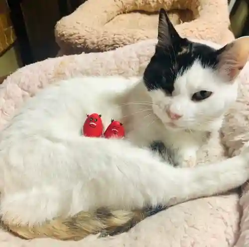 愛宕神社(埼玉県)