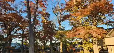 出羽国分寺薬師堂の周辺