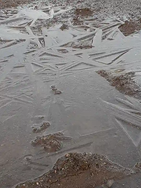 伏木香取神社の自然