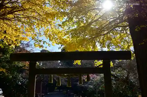 葛原岡神社の鳥居