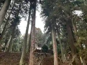 大宮温泉神社(栃木県)(2024年02月20日(火) 08時15分46秒投稿)