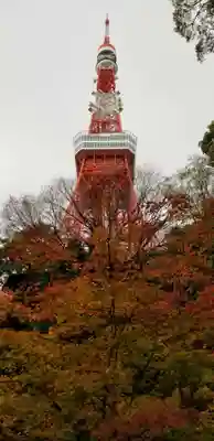 増上寺塔頭 三縁山 宝珠院の周辺