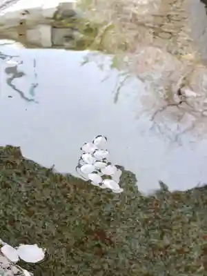 麻布氷川神社(東京都)