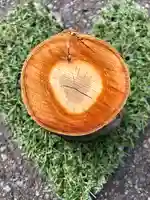 伊達神社のその他建物