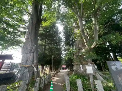 智賀都神社(栃木県)