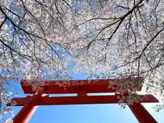 子檀嶺神社の鳥居