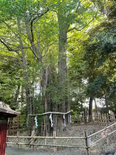 大國魂神社(東京都)