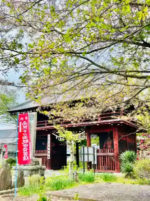 佐竹寺の{uncategorized: "未分類", other: "その他", undefined: "問題あり", building: "その他建物", grave: "お墓", sacred_gate: "鳥居", guardian: "狛犬", statue: "像", buddha: "仏像", history: "歴史", nature: "自然", garden: "庭園", animal: "動物", pagoda: "塔", temizu: "手水舎", mountain_gate: "山門・神門", sanctuary: "本殿・本堂", subordinate: "末社・摂社", art: "芸術", scenery: "景色", jizo: "地蔵", ema: "絵馬", goshuin: "御朱印", omikuji: "おみくじ", items: "授与品その他", amulet: "お守り", goshuincho: "御朱印帳", eats: "食事", festival: "お祭り", votive_dance: "神楽", shichigosan: "七五三参", wedding: "結婚式", experience: "体験その他", initially: "初詣", around: "周辺", anti_infection: "感染症対策"}