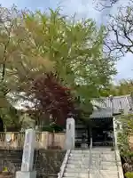 華嚴院の山門・神門
