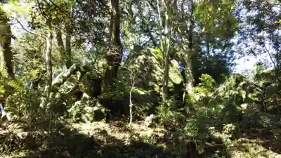 阿波々神社の自然
