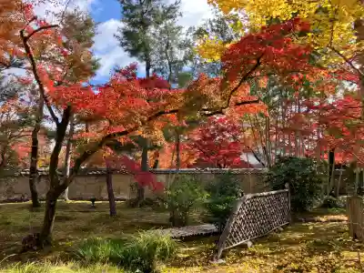 宝厳院(京都府)