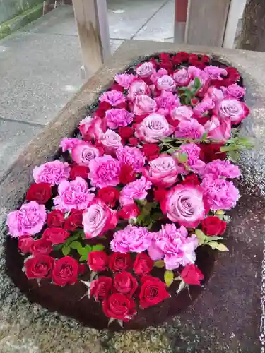 白山神社の手水舎