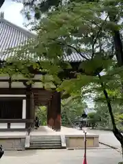 唐招提寺(奈良県)