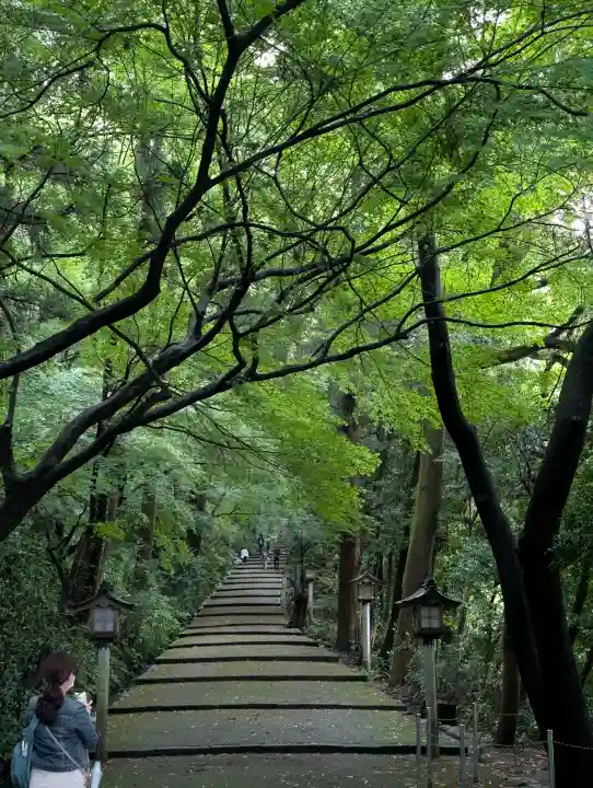 白山比咩神社の{uncategorized: "未分類", other: "その他", undefined: "問題あり", building: "その他建物", grave: "お墓", sacred_gate: "鳥居", guardian: "狛犬", statue: "像", buddha: "仏像", history: "歴史", nature: "自然", garden: "庭園", animal: "動物", pagoda: "塔", temizu: "手水舎", mountain_gate: "山門・神門", sanctuary: "本殿・本堂", subordinate: "末社・摂社", art: "芸術", scenery: "景色", jizo: "地蔵", ema: "絵馬", goshuin: "御朱印", omikuji: "おみくじ", items: "授与品その他", amulet: "お守り", goshuincho: "御朱印帳", eats: "食事", festival: "お祭り", votive_dance: "神楽", shichigosan: "七五三参", wedding: "結婚式", experience: "体験その他", initially: "初詣", around: "周辺", anti_infection: "感染症対策"}