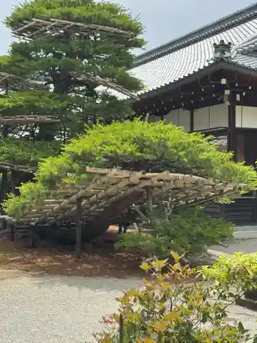 鹿苑寺（金閣寺）(京都府)