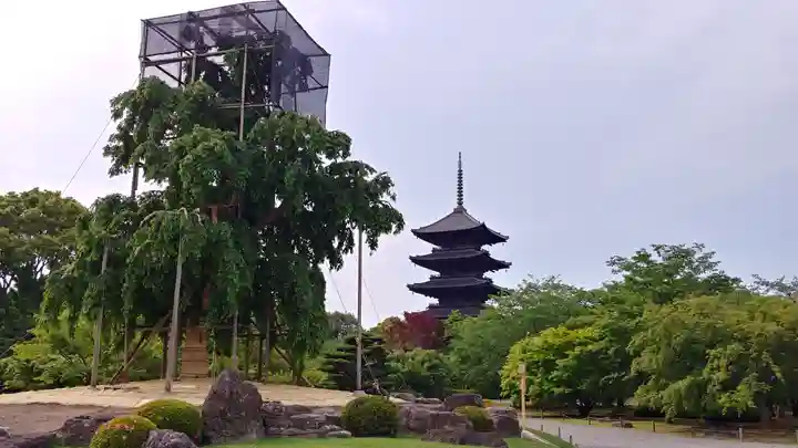 東寺(教王護国寺)のその他建物