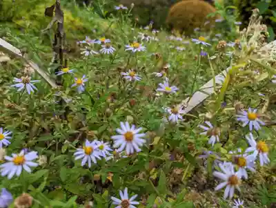 詩仙堂(丈山寺)(京都府)