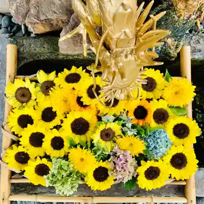 四季桜の寺 妙乗院の手水舎