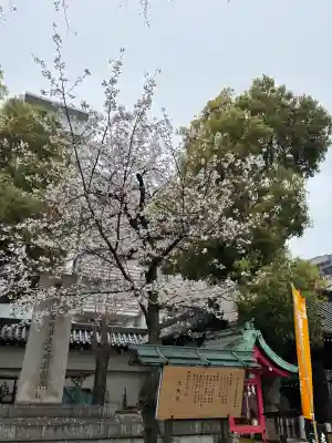 大阪天満宮の{uncategorized: "未分類", other: "その他", undefined: "問題あり", building: "その他建物", grave: "お墓", sacred_gate: "鳥居", guardian: "狛犬", statue: "像", buddha: "仏像", history: "歴史", nature: "自然", garden: "庭園", animal: "動物", pagoda: "塔", temizu: "手水舎", mountain_gate: "山門・神門", sanctuary: "本殿・本堂", subordinate: "末社・摂社", art: "芸術", scenery: "景色", jizo: "地蔵", ema: "絵馬", goshuin: "御朱印", omikuji: "おみくじ", items: "授与品その他", amulet: "お守り", goshuincho: "御朱印帳", eats: "食事", festival: "お祭り", votive_dance: "神楽", shichigosan: "七五三参", wedding: "結婚式", experience: "体験その他", initially: "初詣", around: "周辺", anti_infection: "感染症対策"}