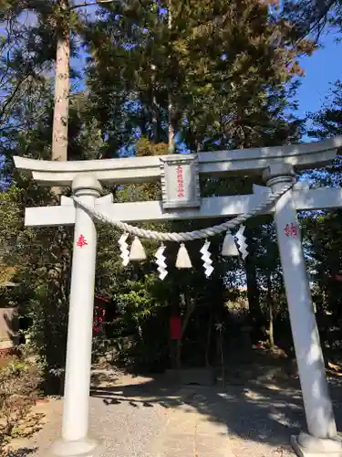 三軒地稲荷神社の鳥居