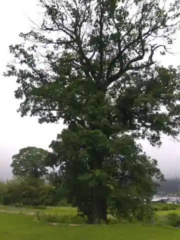 邇々杵神社(滋賀県)