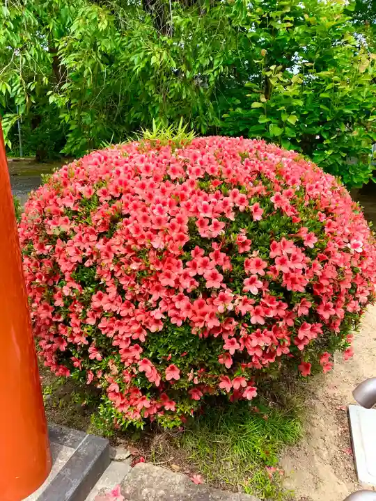 諏訪神社(宮城県)